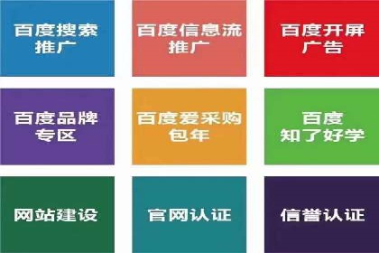 SEM代理助力品牌：案例解析，优化策略全揭秘